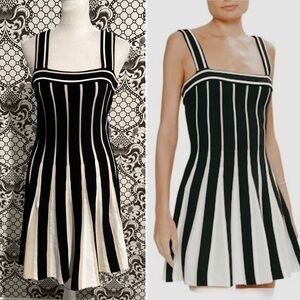 🆕 RAMY BROOK ✨ Eloise knit pleated tank a-line preppy classic dress NWT | Sz S